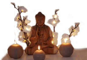 Lysiane Marseille Lecci, Professionnel indépendant